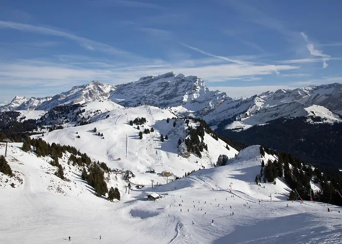 Rhodonite 33 By Interhome * فيلرز سور اولون